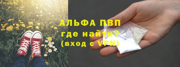 ПСИЛОЦИБИНОВЫЕ ГРИБЫ Магас