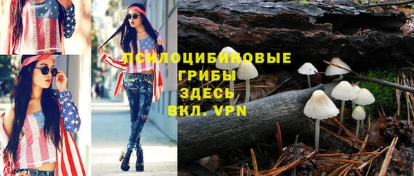 ПСИЛОЦИБИНОВЫЕ ГРИБЫ Магас