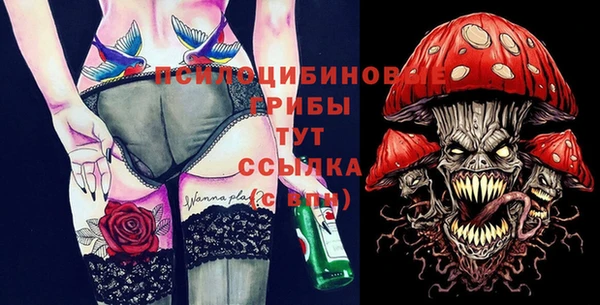 ПСИЛОЦИБИНОВЫЕ ГРИБЫ Магас
