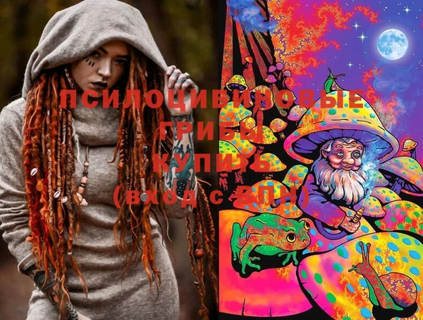 ПСИЛОЦИБИНОВЫЕ ГРИБЫ Магас
