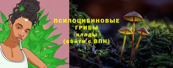 MDMA Медногорск