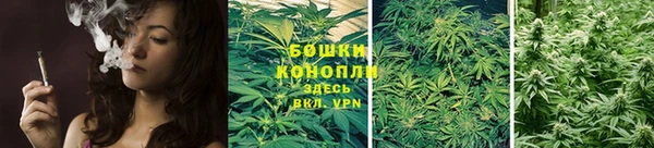 спиды Медвежьегорск