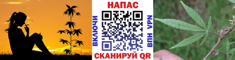 Бошки марихуана тримм Томмот